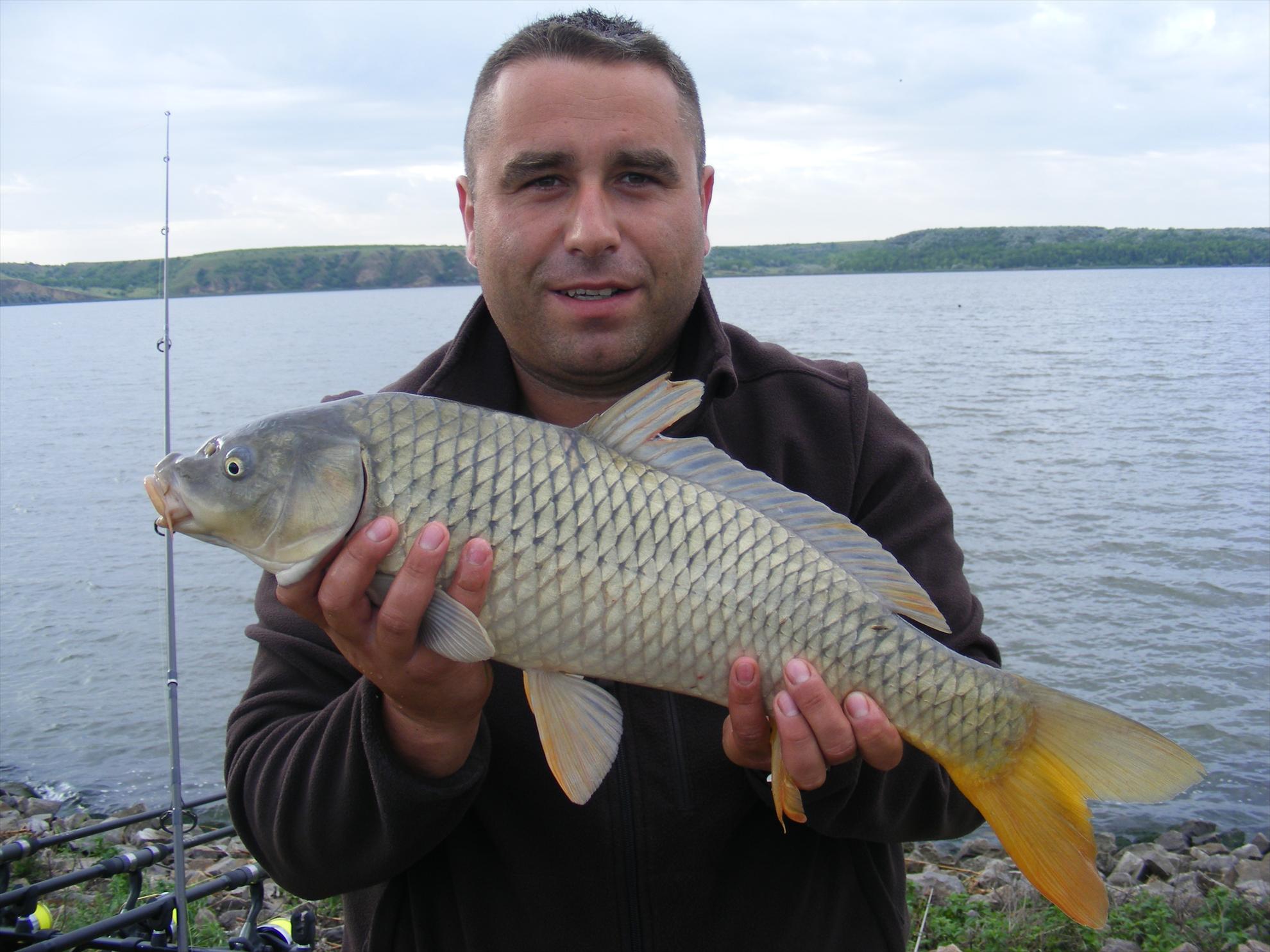 ciobanu harsova - dscf0117.JPG